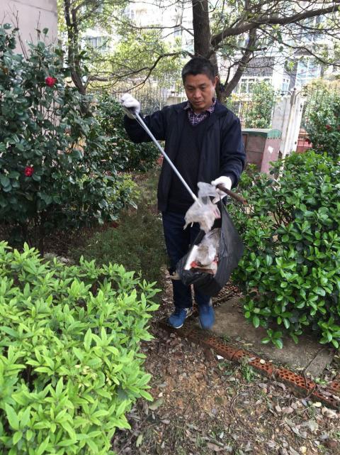 控制鼠害、預(yù)防疾病，構(gòu)建和諧文明社區(qū)